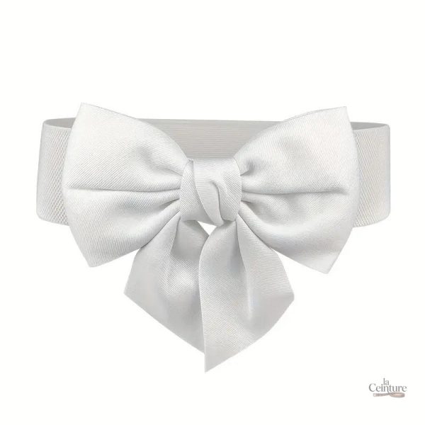 Ceinture à nouer élégante pour un style raffiné
