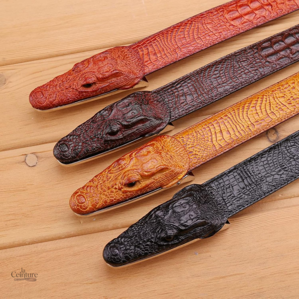 Crocodile ceinture homme, design raffiné