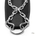 Accessoire de sport : Ceinture Lestée Phoenix